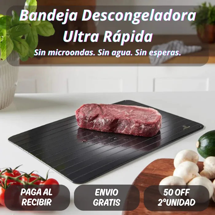 PLANCHA DESCONGELADORA DE ALIMENTOS